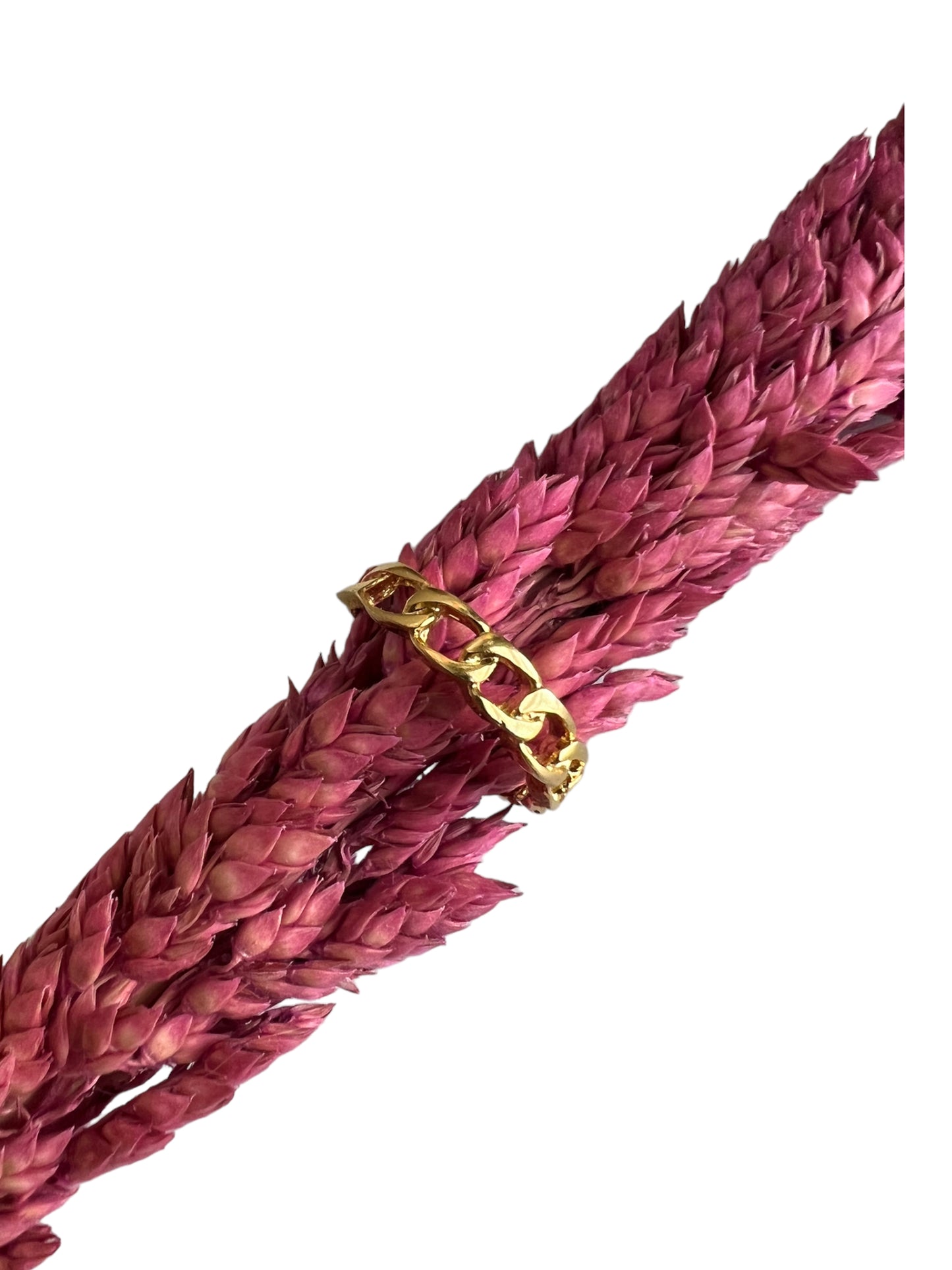 Chain Ring
